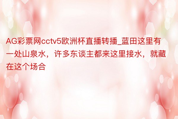 AG彩票网cctv5欧洲杯直播转播_蓝田这里有一处山泉水，许多东谈主都来这里接水，就藏在这个场合